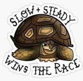 Picture of turtle with slow and steady wins the race as the caption. 