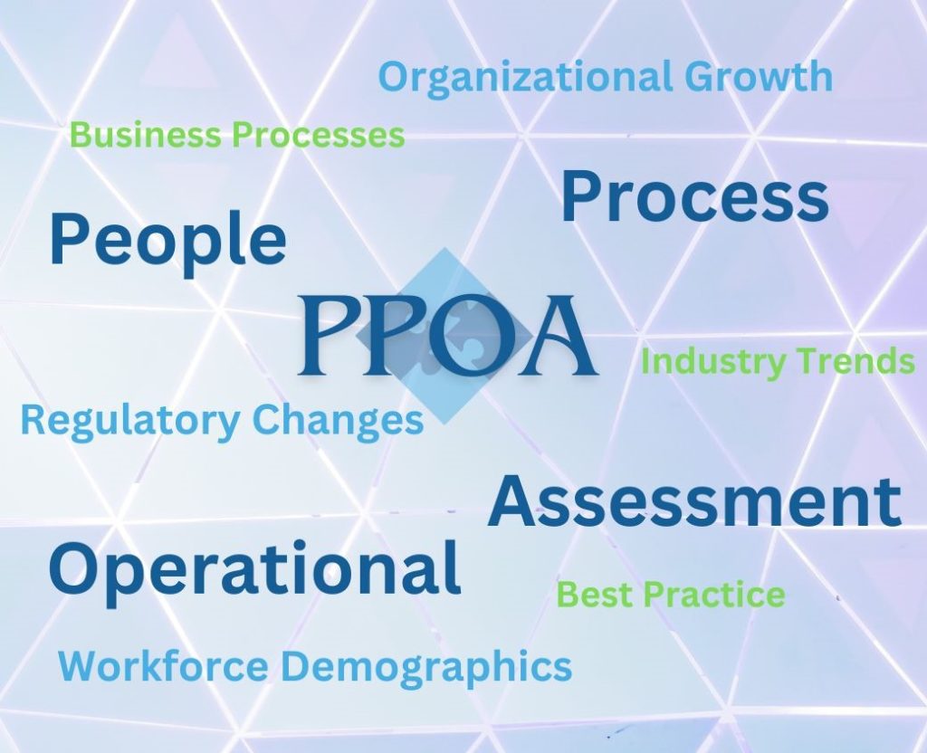 PPOA Word Cloud - People, Process, Operational Assessment 
Other words Business Processes, Industry Trends, Best Practice, Organizational Growth, Regulatory Changes, Workforce  Demographics
